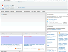 Tablet Screenshot of luxembourg.pro